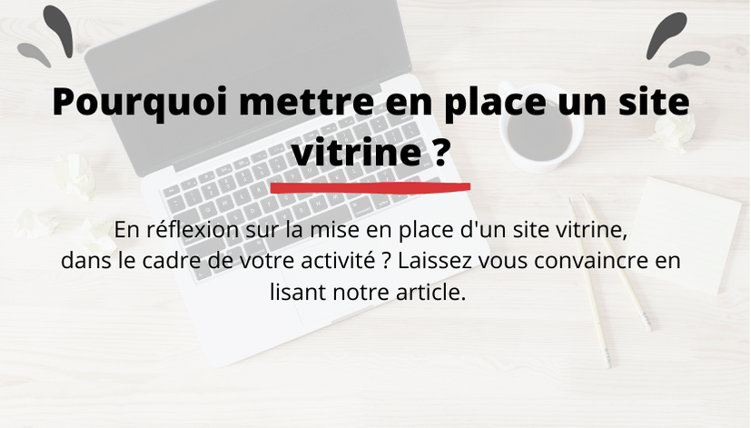 Site vitrine Pourquoi mettre en place un site vitrine ?  Twins Conseils